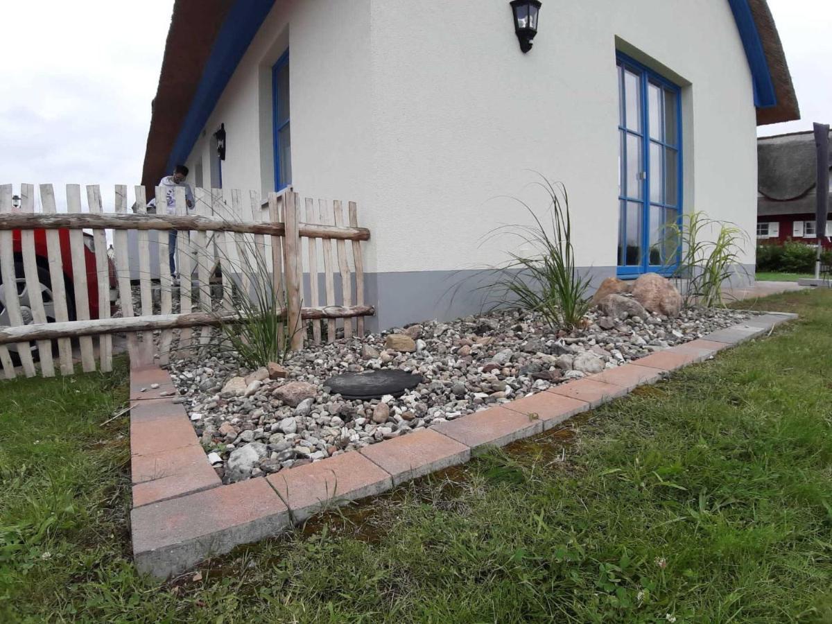 Ferienhaeuser Luv Und Lee Ovs 106 Neu 20 Zierow Zewnętrze zdjęcie